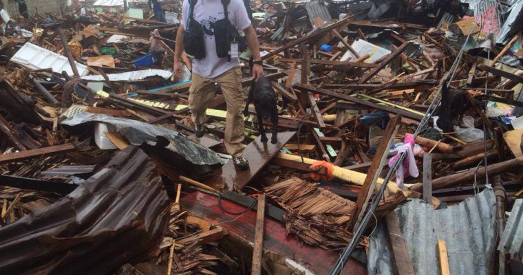Typhoon Response: Philippines